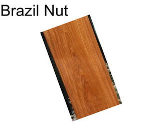 Brazil Nut