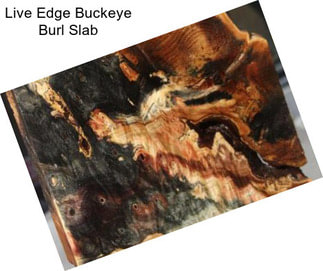 Live Edge Buckeye Burl Slab