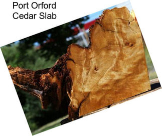 Port Orford Cedar Slab