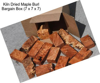 Kiln Dried Maple Burl Bargain Box (7\
