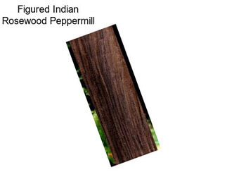 Figured Indian Rosewood Peppermill