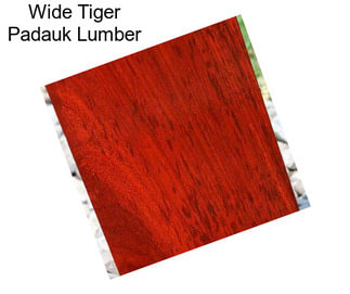Wide Tiger Padauk Lumber
