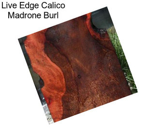 Live Edge Calico Madrone Burl