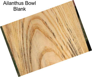 Ailanthus Bowl Blank