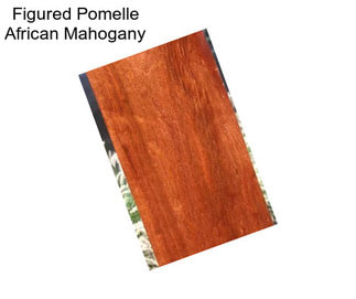 Figured Pomelle African Mahogany