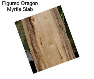 Figured Oregon Myrtle Slab