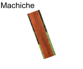 Machiche
