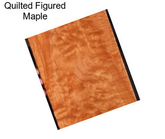 Quilted Figured Maple