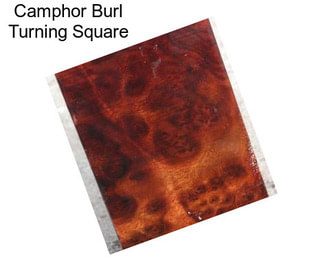 Camphor Burl Turning Square
