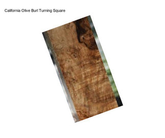 California Olive Burl Turning Square