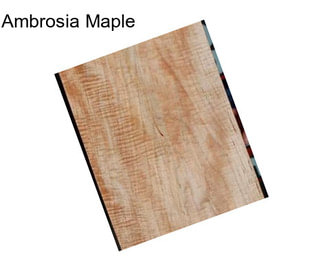 Ambrosia Maple