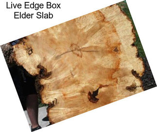 Live Edge Box Elder Slab