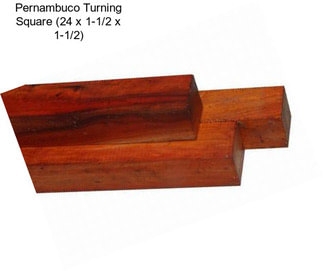 Pernambuco Turning Square (24\