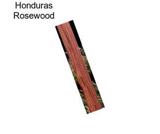 Honduras Rosewood