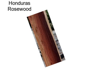 Honduras Rosewood