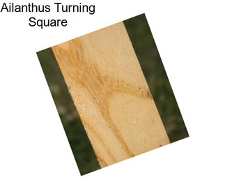 Ailanthus Turning Square