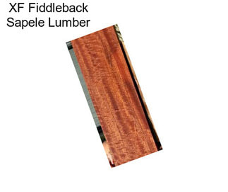 XF Fiddleback Sapele Lumber