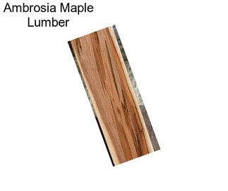 Ambrosia Maple Lumber