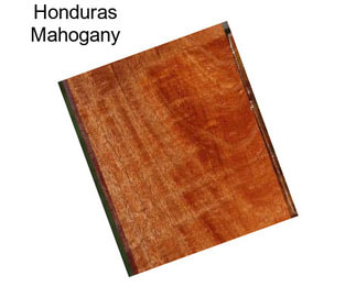 Honduras Mahogany