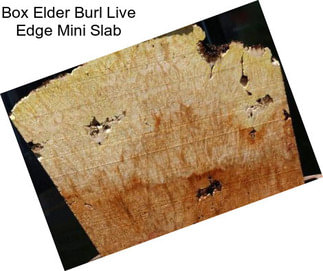 Box Elder Burl Live Edge Mini Slab