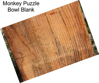 Monkey Puzzle Bowl Blank