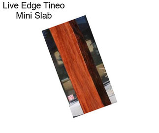 Live Edge Tineo Mini Slab