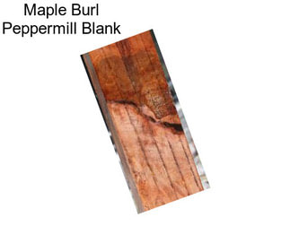 Maple Burl Peppermill Blank