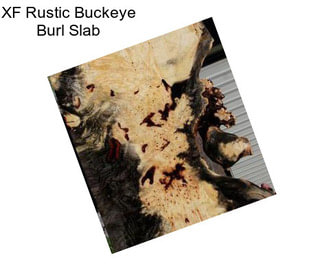 XF Rustic Buckeye Burl Slab