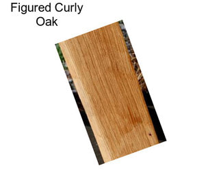 Figured Curly Oak