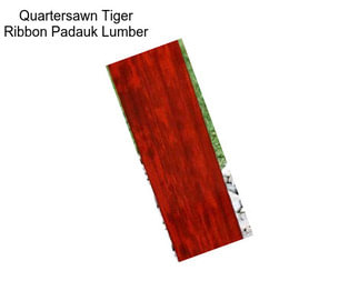 Quartersawn Tiger Ribbon Padauk Lumber