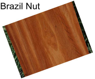 Brazil Nut