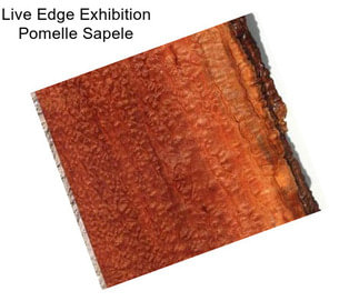 Live Edge Exhibition Pomelle Sapele