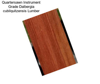 Quartersawn Instrument Grade Dalbergia cubilquitzensis Lumber