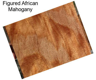 Figured African Mahogany