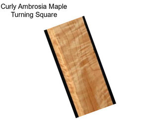 Curly Ambrosia Maple Turning Square