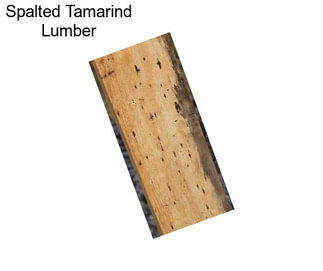 Spalted Tamarind Lumber