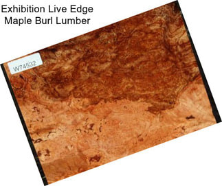 Exhibition Live Edge Maple Burl Lumber