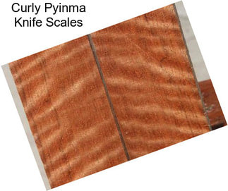 Curly Pyinma Knife Scales