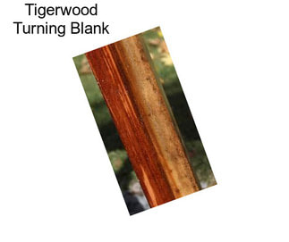 Tigerwood Turning Blank