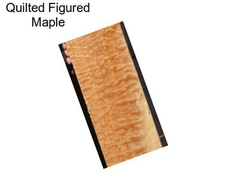 Quilted Figured Maple