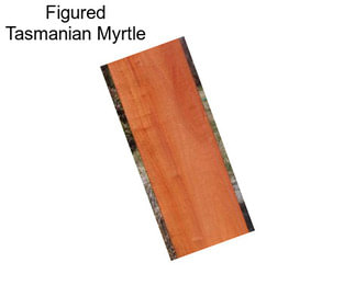 Figured Tasmanian Myrtle