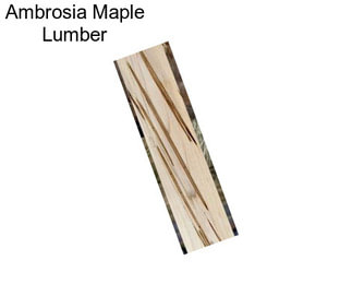 Ambrosia Maple Lumber