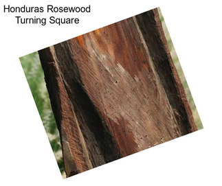 Honduras Rosewood Turning Square