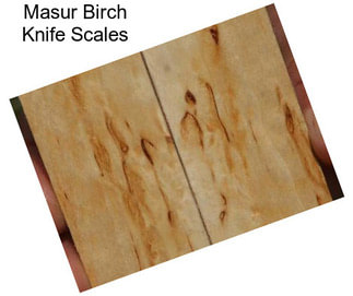 Masur Birch Knife Scales