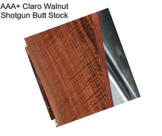 AAA+ Claro Walnut Shotgun Butt Stock