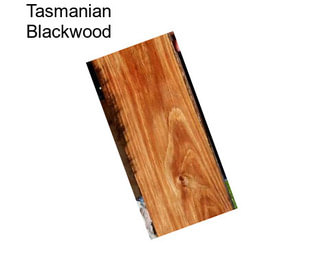 Tasmanian Blackwood