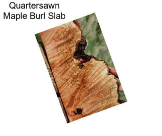 Quartersawn Maple Burl Slab