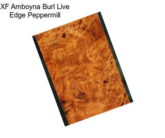 XF Amboyna Burl Live Edge Peppermill