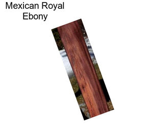 Mexican Royal Ebony