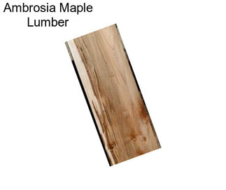 Ambrosia Maple Lumber